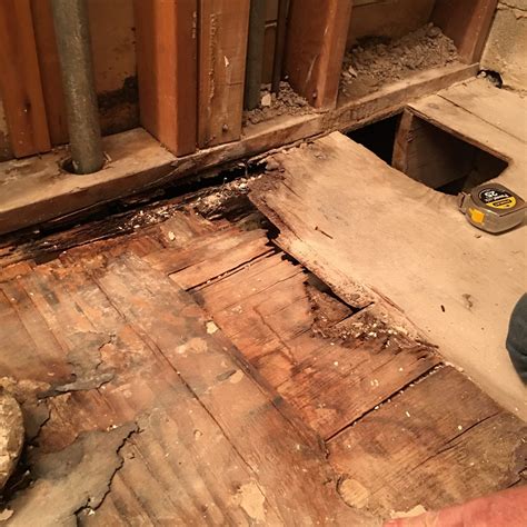 Wrapping up the subfloor in the adjacent bathroom required an interesting puzzle piece to bridge the floor joists, to match the diagonal shiplap of the existing subfloor, and to accommodate a toilet drain. Lay Subfloor Bathroom - What To Use For Bathroom Subfloor ...