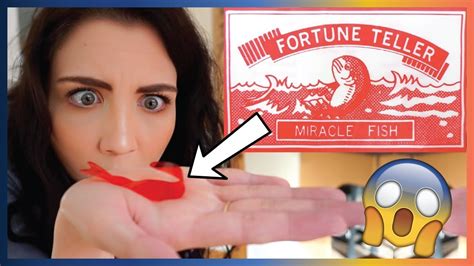More thoughts on the subject include the idea of a false prophet as opposed to a fortune teller merely being wrong. We Bought A Fortune Telling Fish! - YouTube