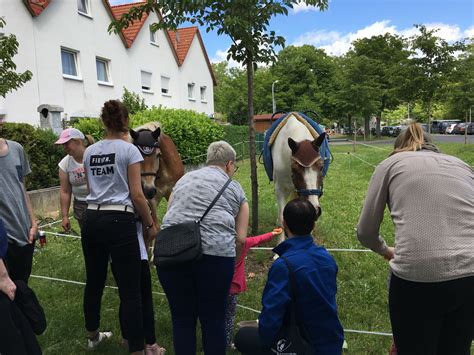 Der spendenerlös ist in diesem jahr für das kinderheim haus regenbogen vorgesehen. Josh unser Pferd - Kinderheim Haus Regenbogen