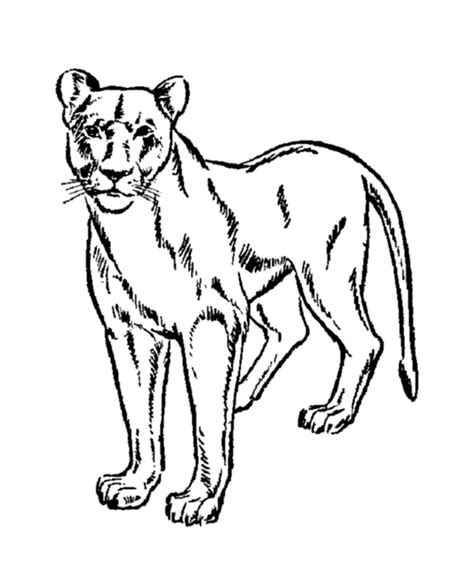 No response for mountain lion coloring pages printable 75636. Lions Coloring Pages Coloring Kids - Coloring Kids