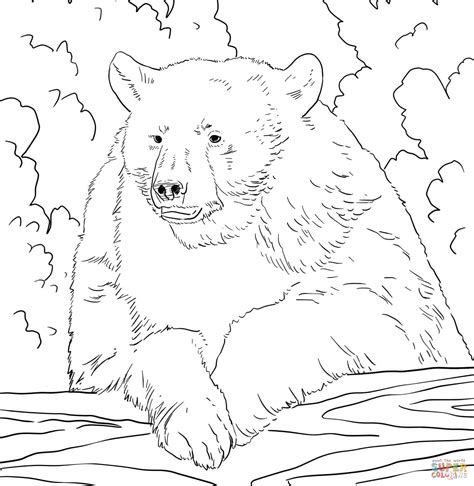 Maybe you would like to learn more about one of these? American Black Bear Portrait coloring page | Free ...