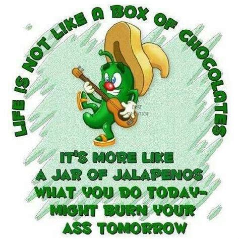 Sam life quotes and swahili bible quotes. Funny Quotes about Life | Funny Collection World