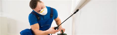 We pride ourselves in customer service, and thrive on results. Pest Solutions for Raleigh, Durham, Apex and the Triangle ...
