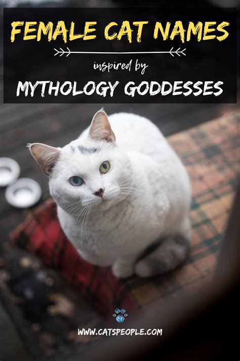 There is no greek goddess who had a cat as her sacred animal, but the goddess artemis was often associated with cats. 15 Goddess Names for Female Cats in 2020 | Cat names, Cats ...