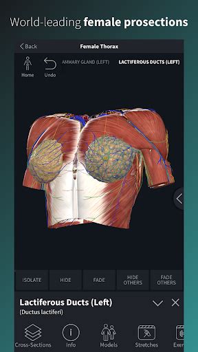 It is much easier to study anatomy, get the best representation of the person with your indispensable gadget that is always at hand! 63 Complete Anatomy Platform 2020 Alternative Apps 2020 ...