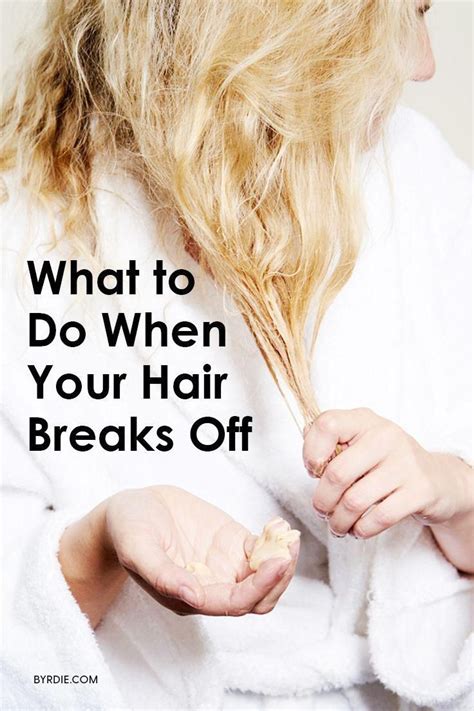 If you have gone for the gold (or the bleached), and the results terrorized your hair, you might find yourself in a panic to remedy the situation. How to repair breaking hair | Breaking hair, Bleach ...