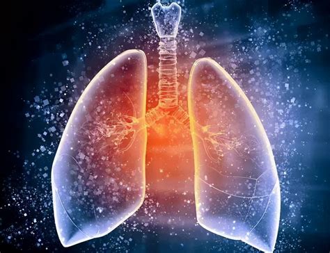 Since the symptoms of liver cancer in dogs mimic those of other diseases, diagnosis is generally delayed. How long can the patient with lung cancer live? - Medical News