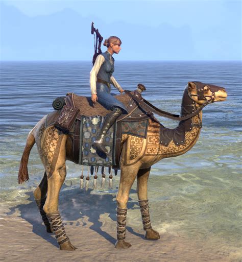 First, a camel's internal body temperature has a far greater range than our bodies. ESO Fashion | Tattooed Shorn Camel (Elder Scrolls Online)