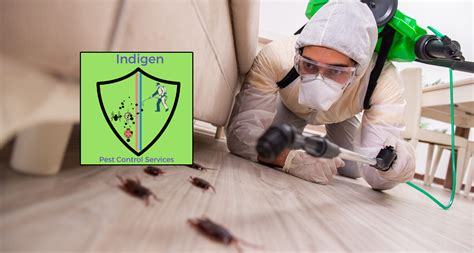 Pest control services in chennai. Indigen Pest Control Services - Specialist In Vellore District