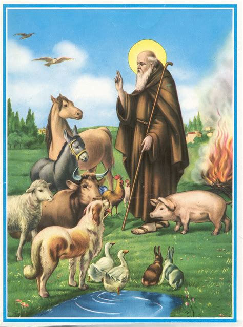 Sant'antuono) is a commune (municipality) in the metropolitan city of naples in the italian region campania, located about 30 km southeast of naples. Preghiera Di Santantonio Abate Per Gli Animali