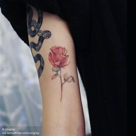 Jan 03, 2022 · 29. 2 months healed pink rose tattoo | Pink rose tattoos ...