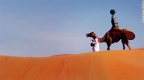 A camel toe is a wedgie except from the front of you. Humps: Google Hires Camel To Street View A Desert - Geekologie