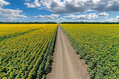 Лучшие города для переезда в краснодарском крае. Природа Краснодарский край — Город Гулькевичи ...