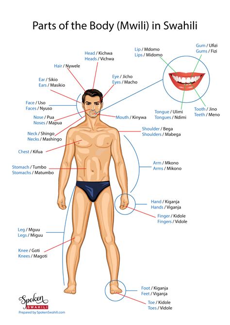 Maybe you would like to learn more about one of these? Parts of the Body in Swahili - Spoken Swahili Blog