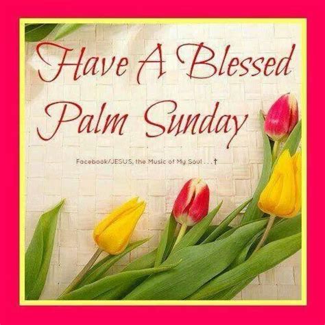 Palm branches are a symbol of peace and victory, and they were laid down in so, here's a roundup of palm sunday quotes, pictures, and messages to help you celebrate the day at home. Pin by Karen Boyer on Being Catholic ♡ | Happy palm sunday ...