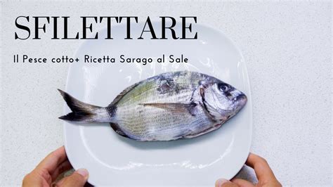 Sfilettare è una tecnica che si utilizza in cucina per ricavare dei filetti il più possibile integri da un pesce intero. Come SFILETTARE IL PESCE cotto SARAGO + partecipazione ...