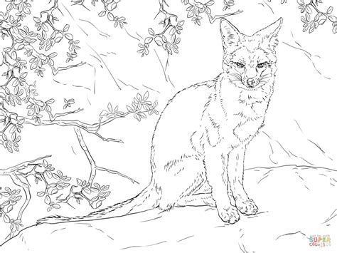 Free printable coloring pages for adults. Realistic Fox Coloring Pages at GetColorings.com | Free ...