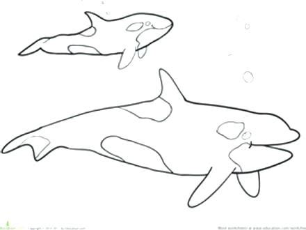 Shellington, tweak, sauci and peso. Whale Drawing For Kids at GetDrawings | Free download