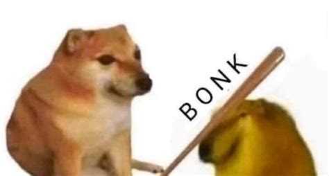 Check spelling or type a new query. bonk doge meme template : MemeTemplatesOfficial