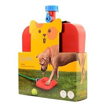 We have grooming appointments starting sunday and we're open for appointments all next week. Quirky Pawcet Drinking Fountain for Dogs, 9" L X 11.5" W X ...