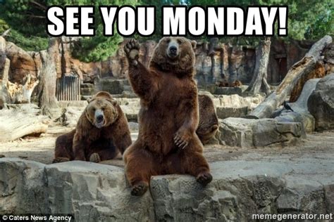 We see you and your penchant for real stories, so we put the best of those documentary films in a separate list. SEE YOU MONDAY! - Waving bear in zoo | Meme Generator