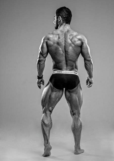 To build the back optimally, you should know the major muscles, their actions, and which exercises build muscles best. Muscle Model: Backside | Anatomy reference, Anatomy, Body ...