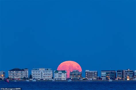 When and where does the moon rise and set? Britain will melt in 99F temperatures by the weekend as ...