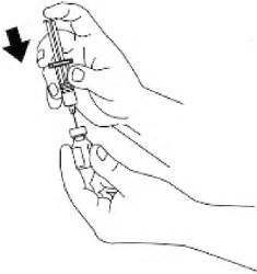 Hypoglycemia both directly (stimulates alpha cells) and indirectly (↓ insulin secretion which otherwise tonically inhibits glucagon) increases glucagon release. DailyMed - GLUCAGON- glucagon