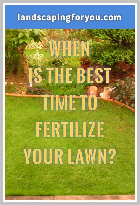 Fertilizing your houseplants naturally can be as simple as using kitchen and household waste to feed your plants. The Secrets You Need To Study When To Fertilize Lawn ...