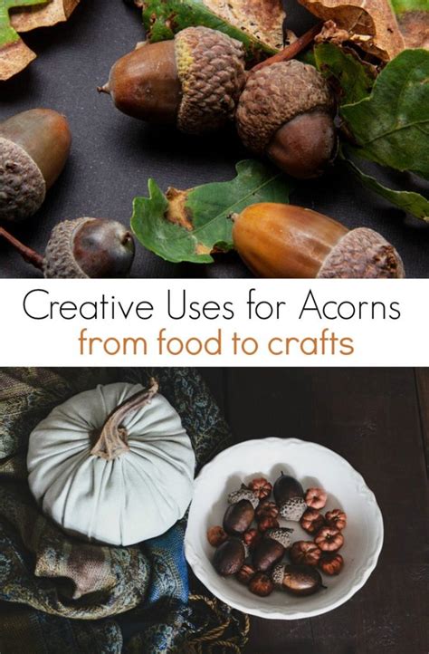 Check spelling or type a new query. Things to do With Acorns for Kids and Adults - Suburbia Unwrapped