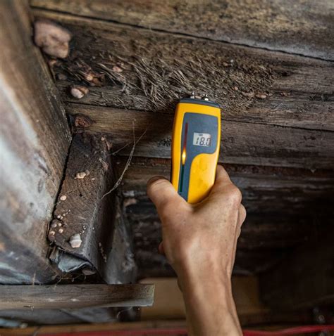 Read about the best mold detector that can sense the presence of mold in your home. Mold Inspection & Testing Palm Bay & Melbourne - Fogarty ...