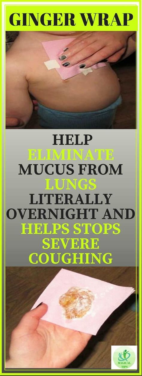 Use a handkerchief to cover your mouth and nose while sneezing or coughing. Ginger Wraps Help Eliminate Mucus From Lungs Literally ...