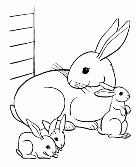 Free easter bunny coloring page printable. Bunny Coloring Pages | Động vật