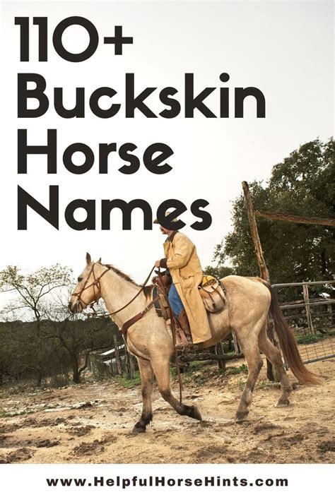 The ultimate good horse name list. 110+ Buckskin Horse Names | Buckskin horse, Horse names ...