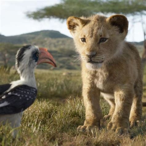 El rey leon mas hotel. El Rey León vuelve a rugir más real que nunca