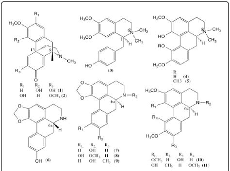 This member of the aporphine group (p. Aporphine alkaloids isolated from M. crispata and M ...