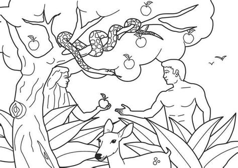 2) click on the coloring page image in the bottom half of the screen to make that frame active. Adam And Eve Forbidden Fruit Bible Coloring Pages