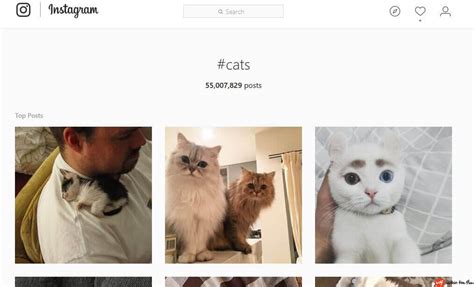 How to Find Reliable Instagram Influencers for your Business