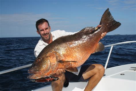 More images for image de gros » Très gros poissons au Panama | La Pêche et les poissons