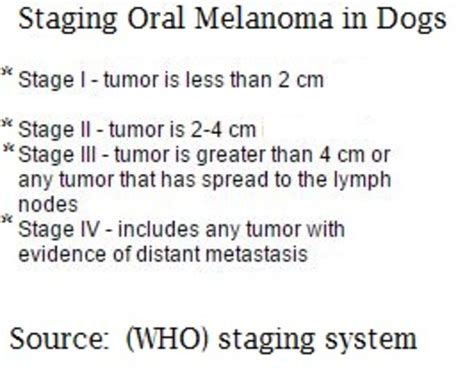 With pets living longer than ever, cancer has become a diagnosis that we see more commonly in older dogs. Oral Melanoma Dog Life Expectancy - Dog Discoveries