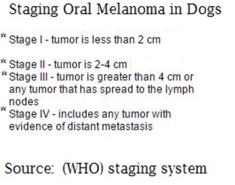 Because lymphoma is often widespread, surgery is often unable to remove all traces of cancer. Oral Melanoma Dog Life Expectancy - Dog Discoveries