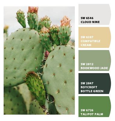 For those who have a thumb that is not so green, it might be wise to if you like plants with a bit more color, then consider red cap, also known as ruby ball, cactus. I just spotted the perfect colors! | Cactus, Cactus flower ...