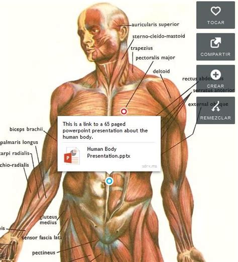 Las aulas interactivas son salones educativos modificados pedagógicamente y adaptados para la época moderna que estamos viviendo donde es ventajas y desventajas del uso de las aulas interactivas. Uso de Imágenes Interactivas 2.0 en el Aula - Propuestas ...