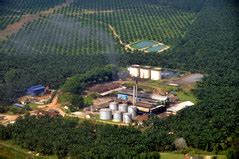 This is mainly due to its high concentration of chemical oxygen demand (cod), which. Palm Oil Mill Effluent (POME) - Cleantech Solutions Blog