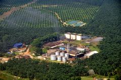 Effluent management involves the typical handling of liquid waste. Palm Oil Mill Effluent (POME) - Cleantech Solutions Blog