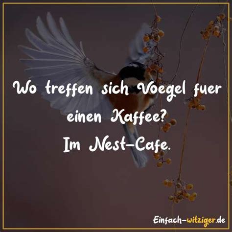 Und so starten wir auch schon mit der ersten scherzfrage: Lustige Scherz- und Quizfragen mit Antworten | Lustige ...