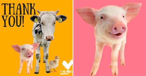 Going vegan for a month. Veganuary campaign urges people to go vegan for a month ...