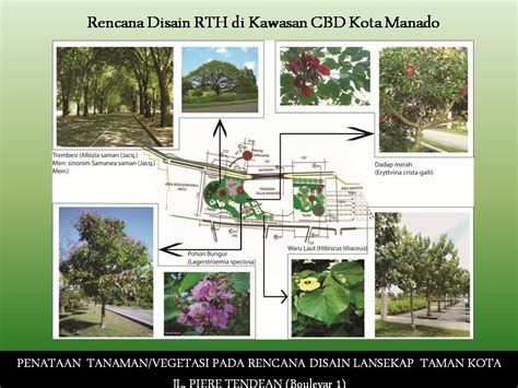 § jenis tanaman yang ditanam adalah tanaman yang. LINGKUNGAN PERKOTAAN: Konsep Disain Ruang Terbuka Hijau di ...