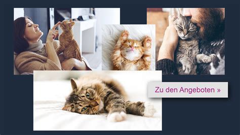 Available in a wide range of styles, colors & fabrics. Miau - Internationaler Weltkatzentag | Haushalt & Küche ...