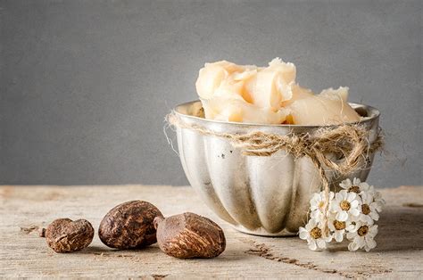 Raw shea butter is a popular moisturizer that is used in skin and hair products. SHEA BUTTER - Deorta.com | Organic solution for hair loss